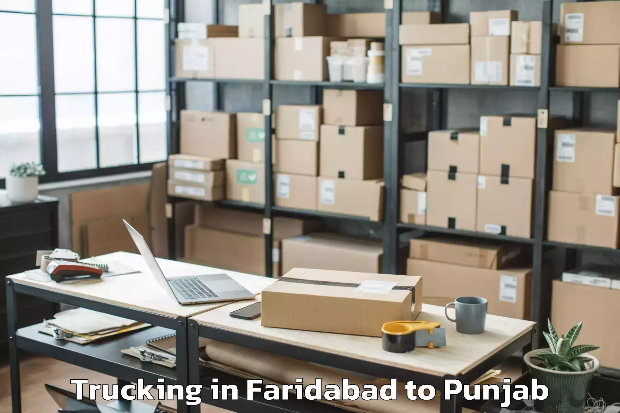 Expert Faridabad to Makhu Trucking